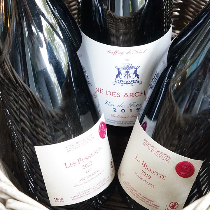 Les Vignes des Archambaults 2019 - Geoffrey de Nouël