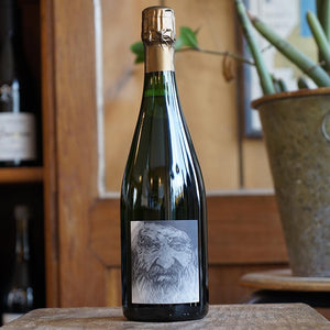 Heraclite Pinot Noir 2019 - Champagne Stroebel