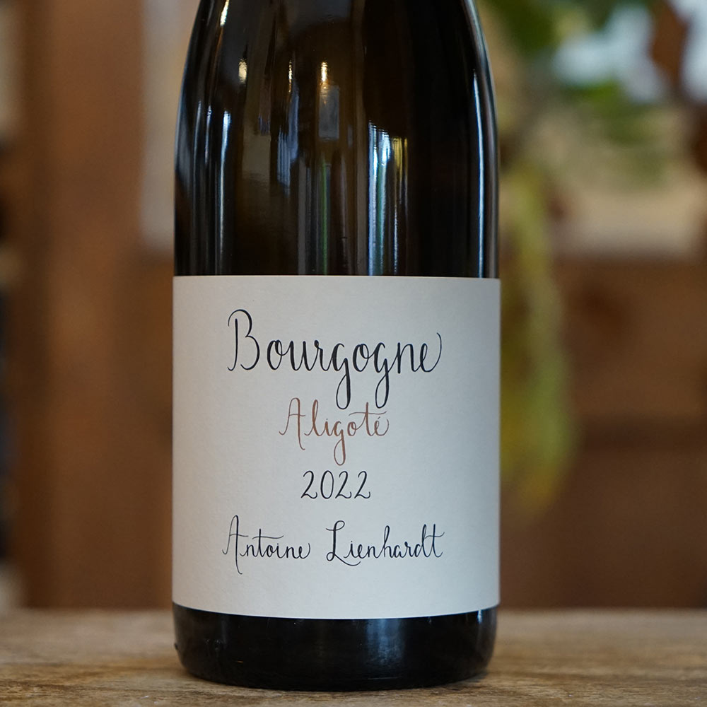 Bourgogne Aligoté 2022 - Antoine Lienhardt