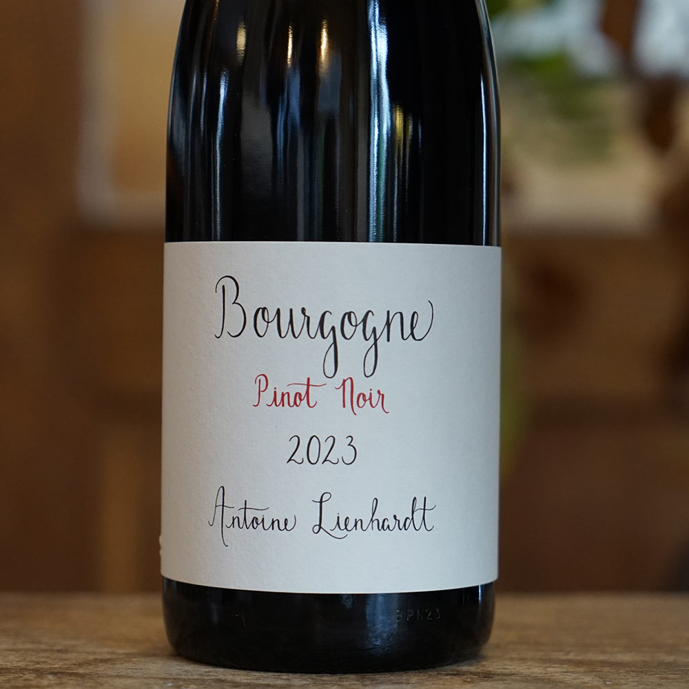 Bourgogne Rouge 2023 - Antoine Lienhardt