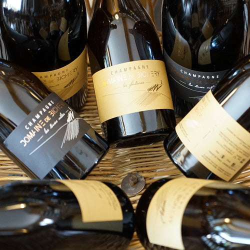 Côteaux Champenois Rouge 2022 - Domaine De Bichery