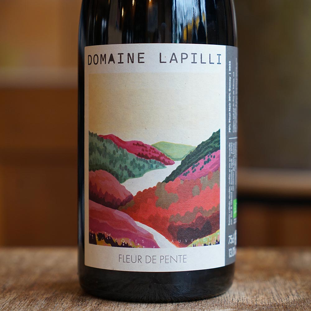 Fleur de Pente 2023 - Domaine Lapilli