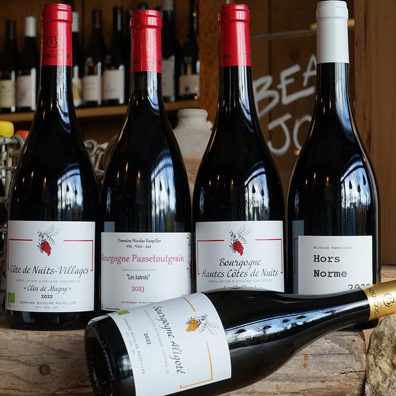 Hautes Cotes de Nuits Rouge 2022 - Nicolas Raspiller