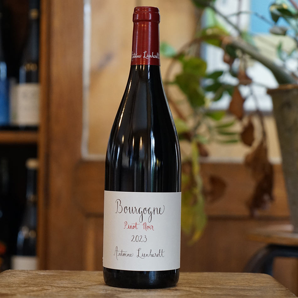 Bourgogne Rouge 2023 - Antoine Lienhardt