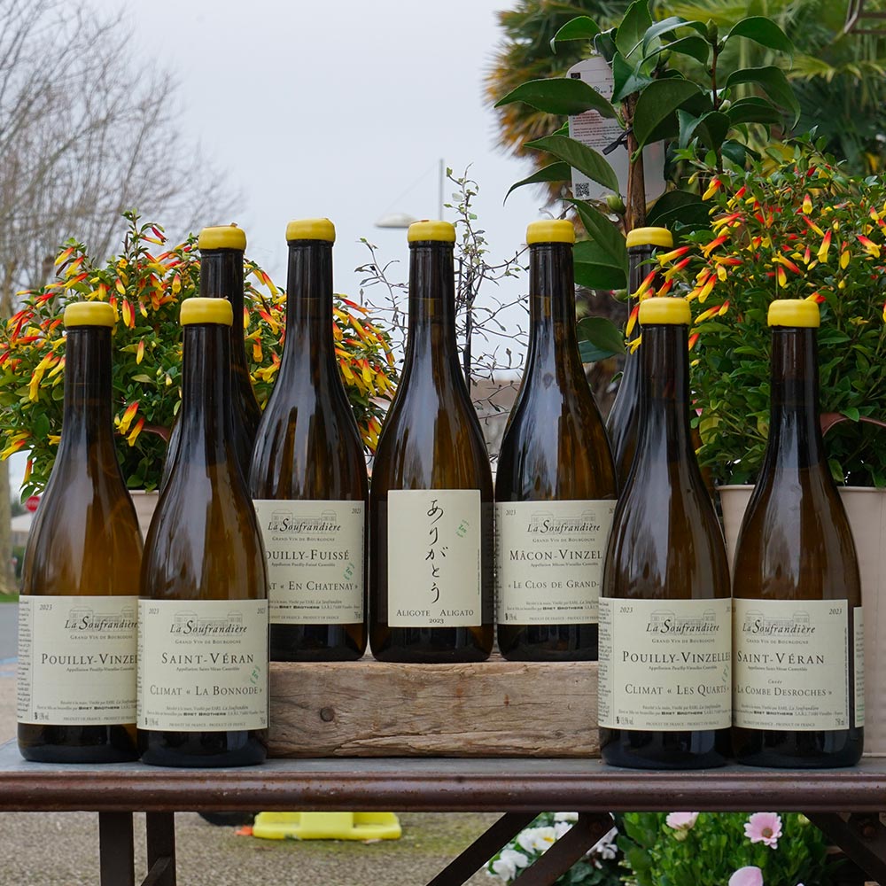 Pouilly-Fuissé "En Chantenay" 2023 - La Soufrandière