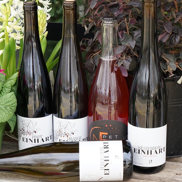 Paradoxe 2021 - Domaine Einhart